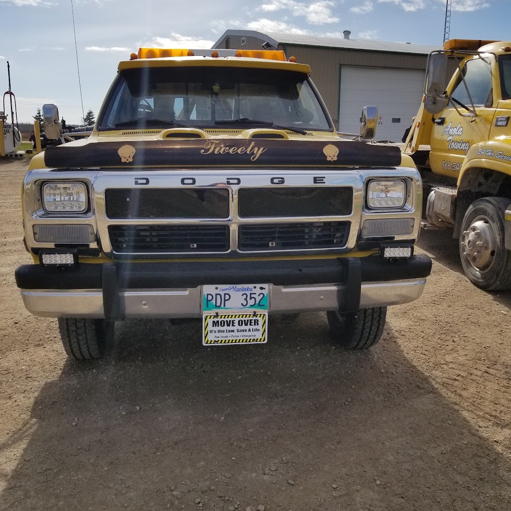 Anola Towing | 59033 Pleasant Rd 38E, Anola, MB R0E 0A0, Canada | Phone: (204) 866-3407