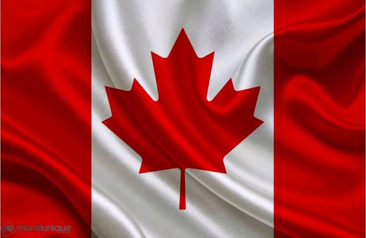 Direction de limmigration canadien | Montréal Rd, Ottawa, ON K1A 0B1, Canada | Phone: (819) 272-9009