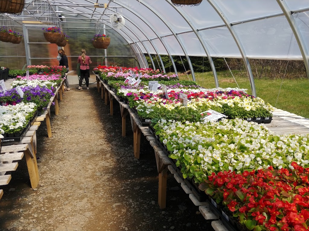 Ashtons Garden Centre | 125 Upper River John Rd, Tatamagouche, NS B0K 1V0, Canada | Phone: (902) 324-3429