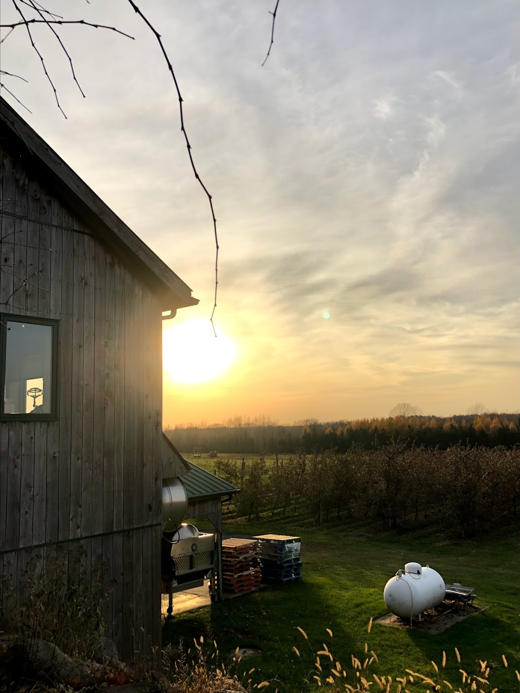 Vignoble Artisans Du Terroir | 1150 Rang de la Montagne, Saint-Paul-dAbbotsford, QC J0E 1A0, Canada | Phone: (450) 379-5353