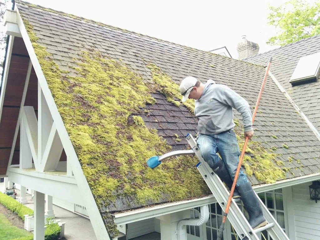 New Again Cleaning and Maintenance | 12156 96 Ave, Surrey, BC V3V 1W4, Canada | Phone: (604) 999-4502