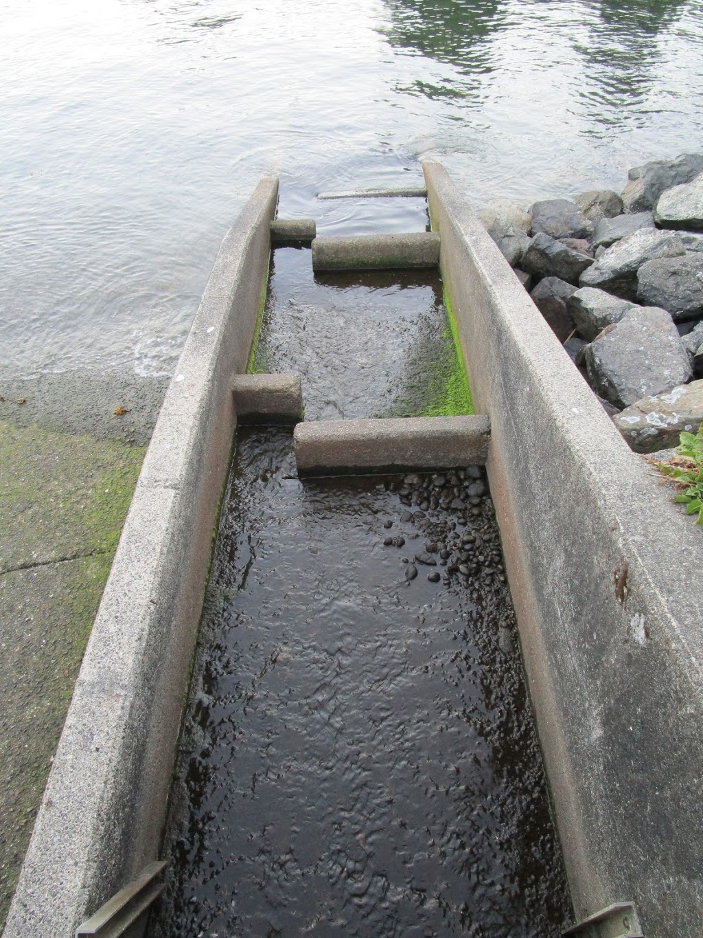 The Lodge at the Old Dorm | 460 Melmore Rd, Bowen Island, BC V0N 1G1, Canada | Phone: (604) 947-0947