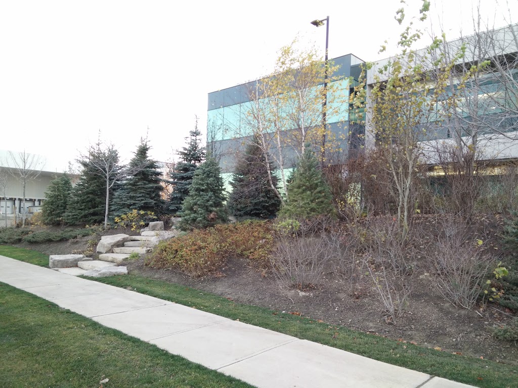 Niigon Machines Ltd. | 372 New Enterprise Way, Woodbridge, ON L4H 0S8, Canada | Phone: (905) 265-0277