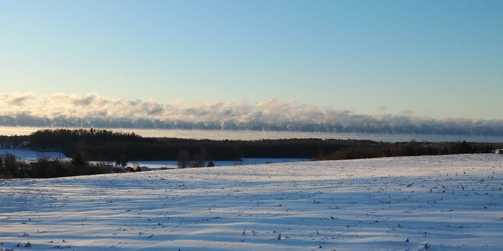 Greydafton Farms | 866 Wicklow Rd, Grafton, ON K0K 2G0, Canada | Phone: (905) 269-5677
