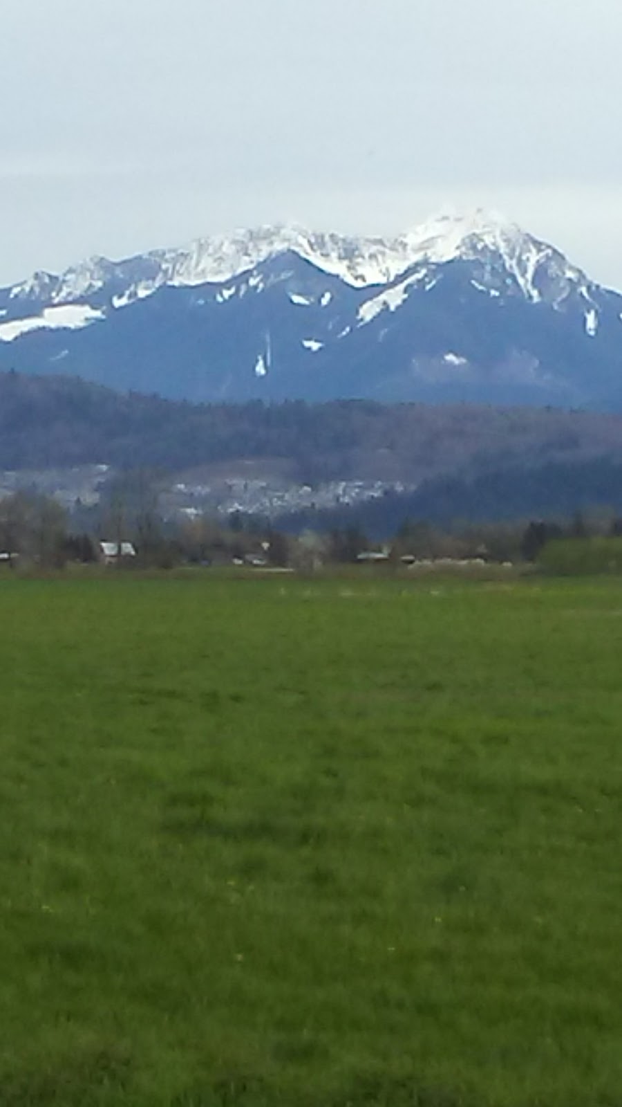 Wisbey Farms | 3185 Tolmie Rd, Abbotsford, BC V3G 2T9, Canada | Phone: (604) 823-6772