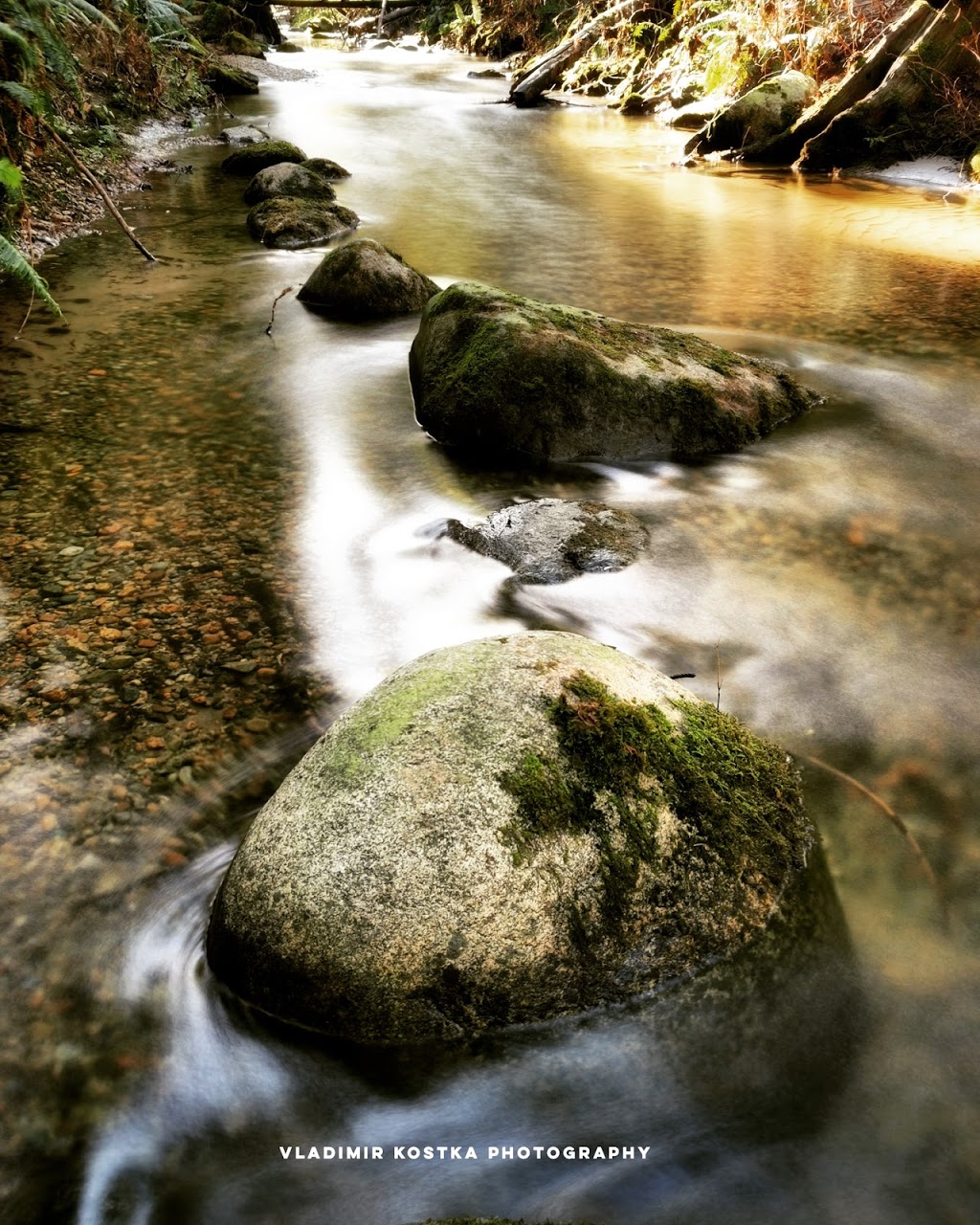 Vladimir Kostka Photography | 3306 Cornwall St, Port Coquitlam, BC V3B 3G9, Canada | Phone: (604) 710-8089