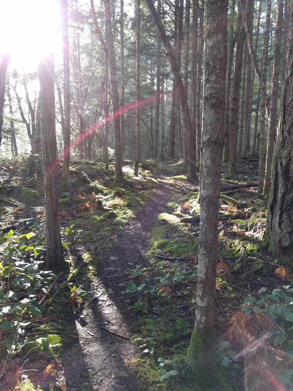 Peter Arnell Park | 409 Stewart Rd, Salt Spring Island, BC V8K 1Y6, Canada | Phone: (250) 360-3000