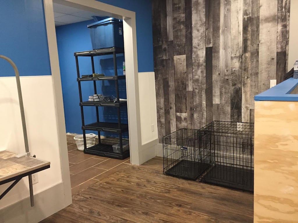 MAJOR Dog Grooming | 215 Lisgar St, Brighton, ON K0K 1H0, Canada | Phone: (613) 475-1599