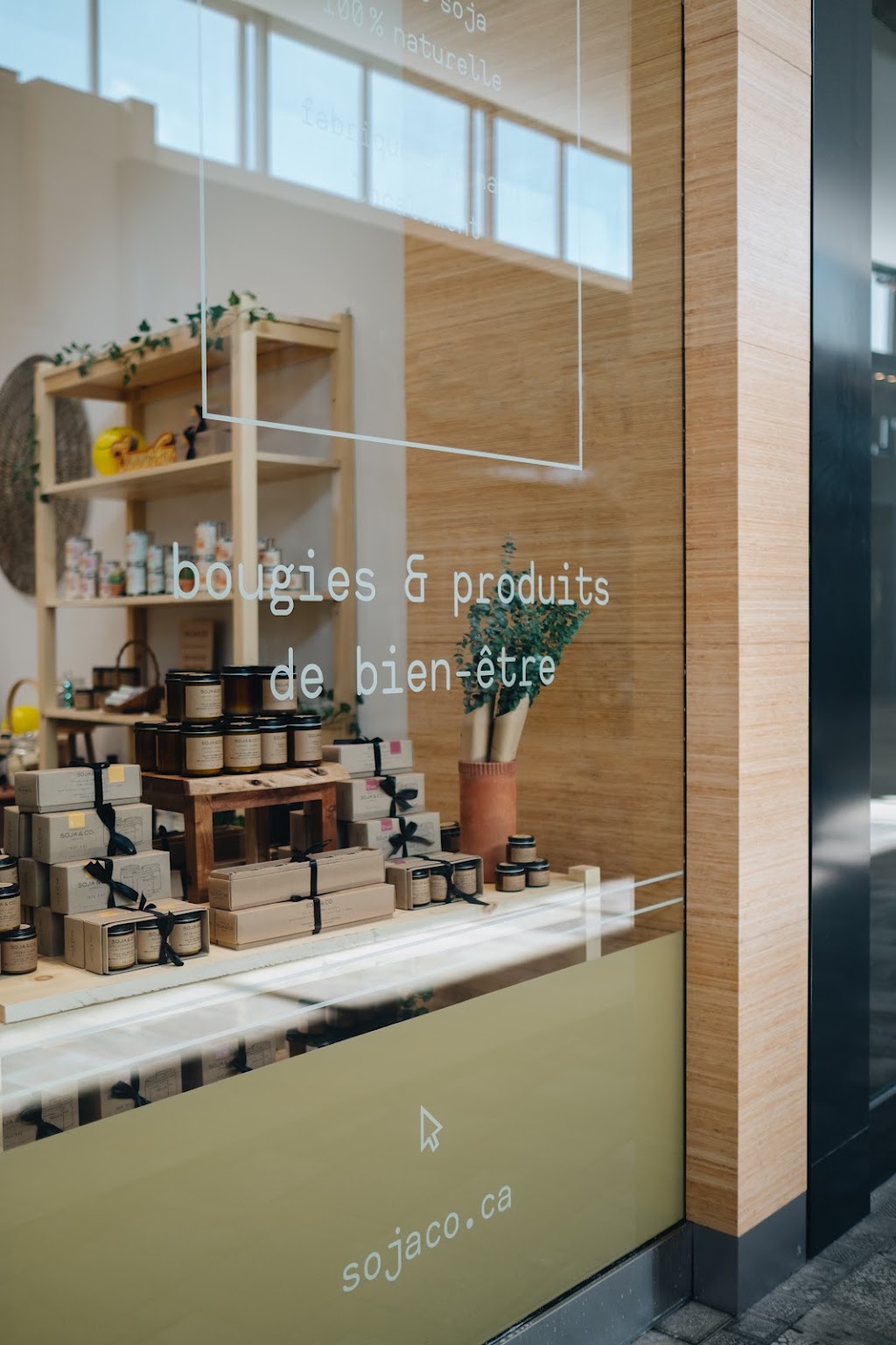 SOJA&CO. | 3035 Boul. le Carrefour, local R023A, Laval, QC H7T 1C8, Canada | Phone: (450) 681-0793