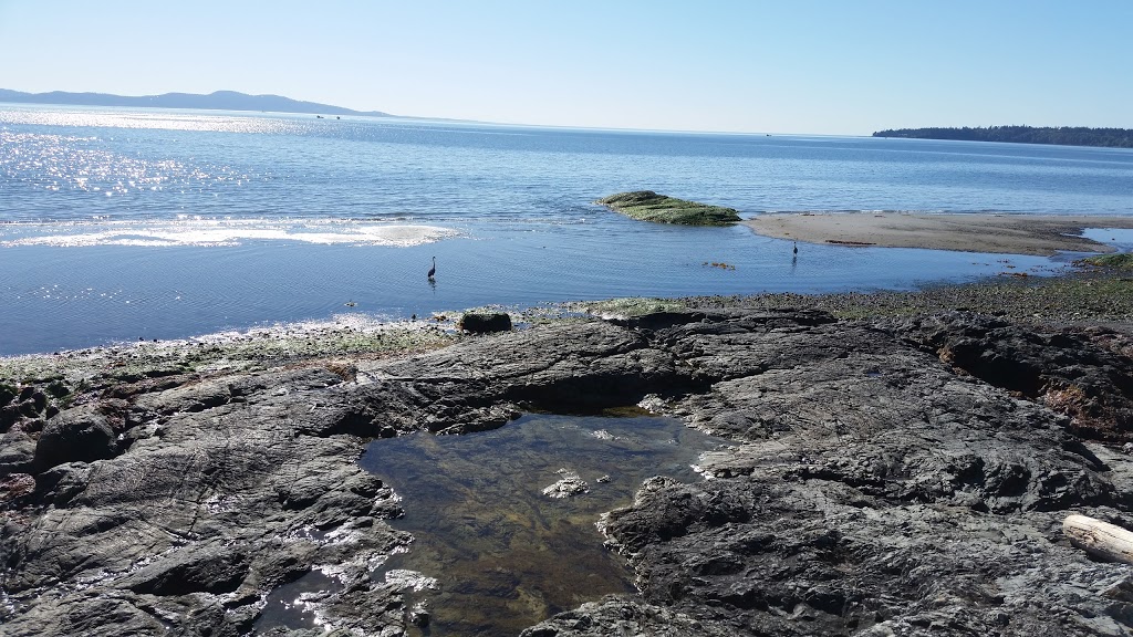 Agate Park | 2M1, 5179 Agate Ln, Victoria, BC V8Y 2M1, Canada