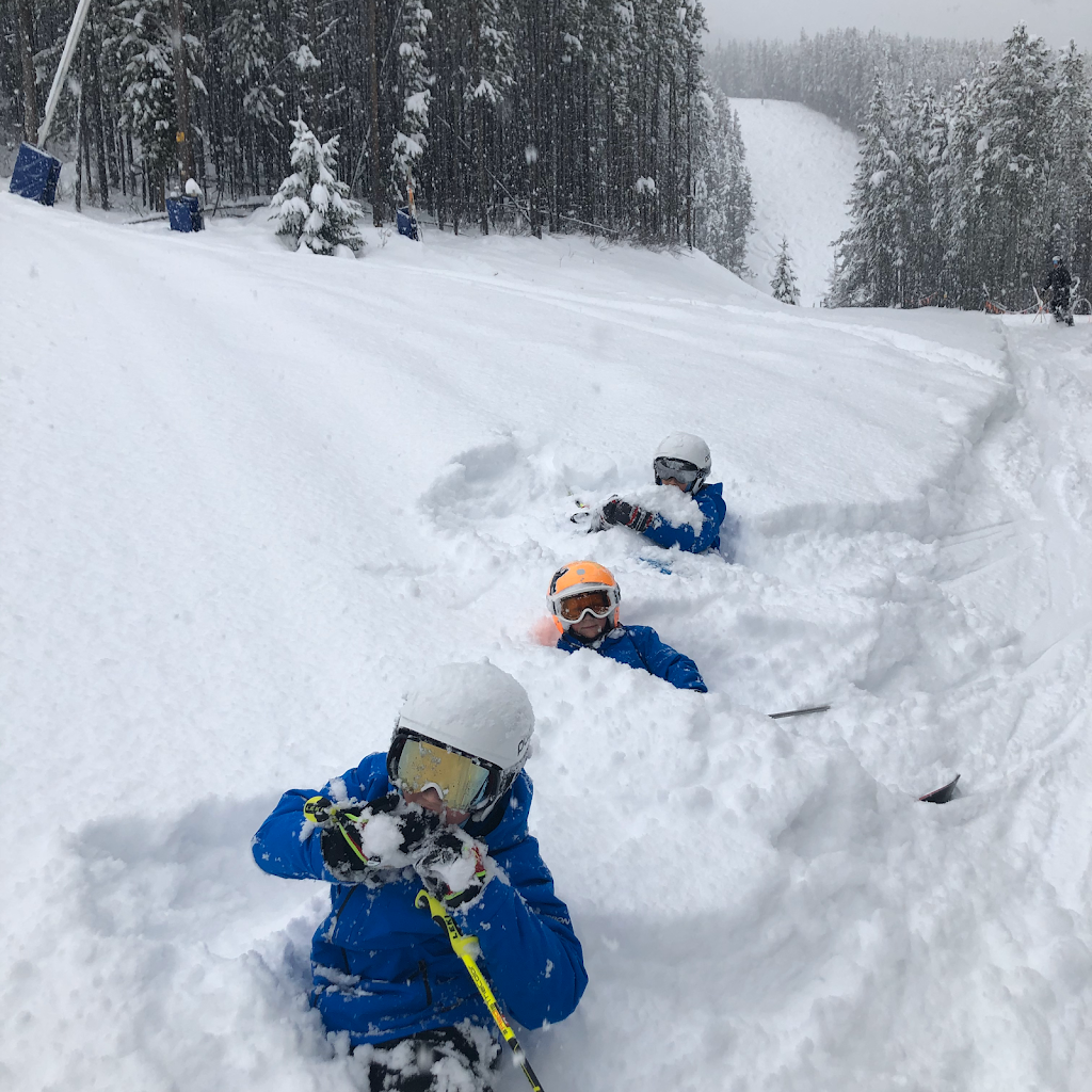 Lone Wolf Chalet | 1856 Greywolf Dr, Panorama, BC V0A 1T0, Canada | Phone: (403) 812-1688