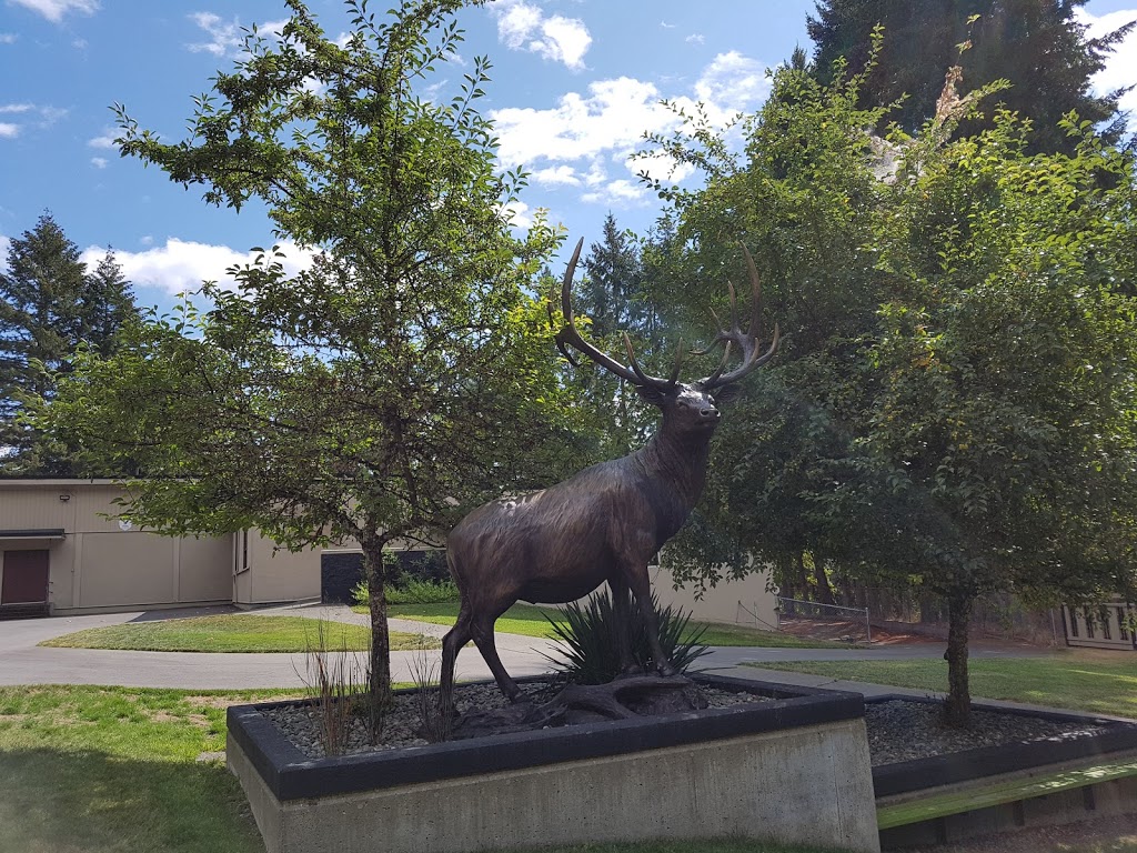 Hand of Man Museum | 6759 Considine Ave, Duncan, BC V9L 5X2, Canada | Phone: (888) 826-1011