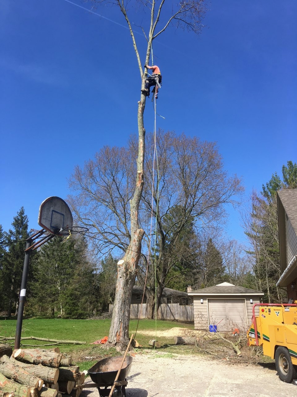 Woodland Services | 103 Brandy Lane Rd, London, ON N6G 4T1, Canada | Phone: (519) 671-6854