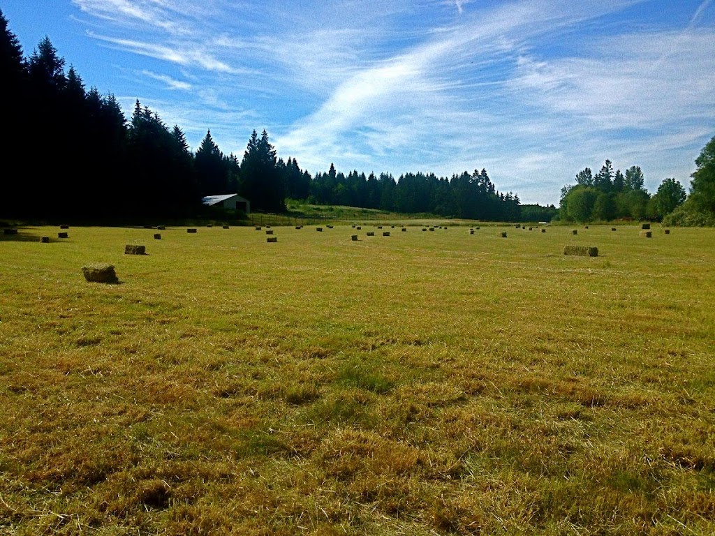Waterloo Farms | 8282 Chemainus Rd, Chemainus, BC V0R 1K0, Canada | Phone: (250) 732-7699