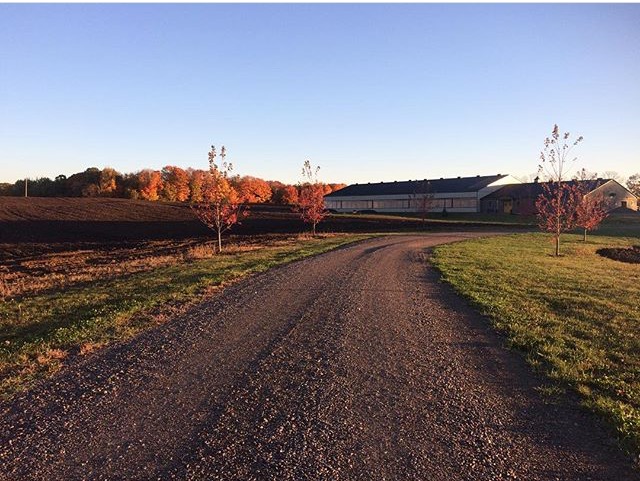 Briary Farm | 10351 Lake Ridge Rd, Port Perry, ON L9L 1V7, Canada | Phone: (416) 709-1826