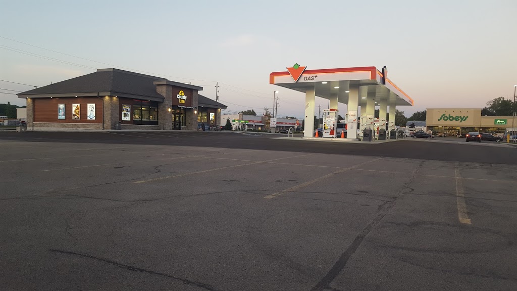 Canadian Tire - Dunnville, ON | 1002 Broad St E, Dunnville, ON N1A 2Z2, Canada | Phone: (905) 774-7545