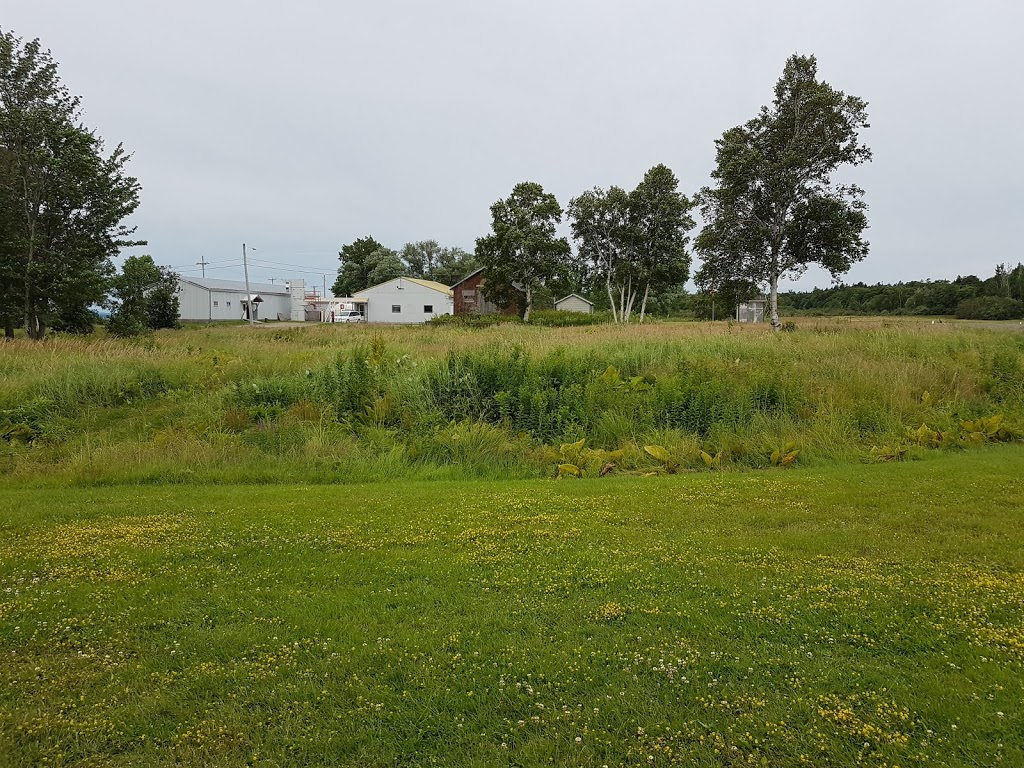 The Irish Cemetery | 48 La Grosse-Île, LIsle-aux-Grues, QC G0R 1P0, Canada | Phone: (888) 773-8888