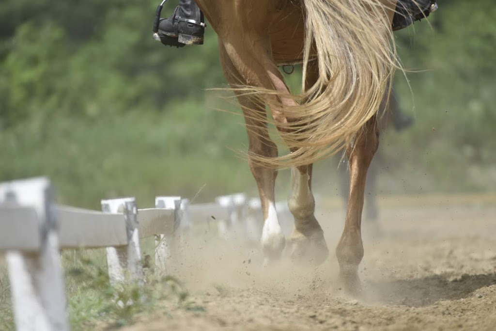 Canyon Creek Farm | 297 Barron Canyon Rd, Pembroke, ON K8A 6W7, Canada | Phone: (613) 312-7197