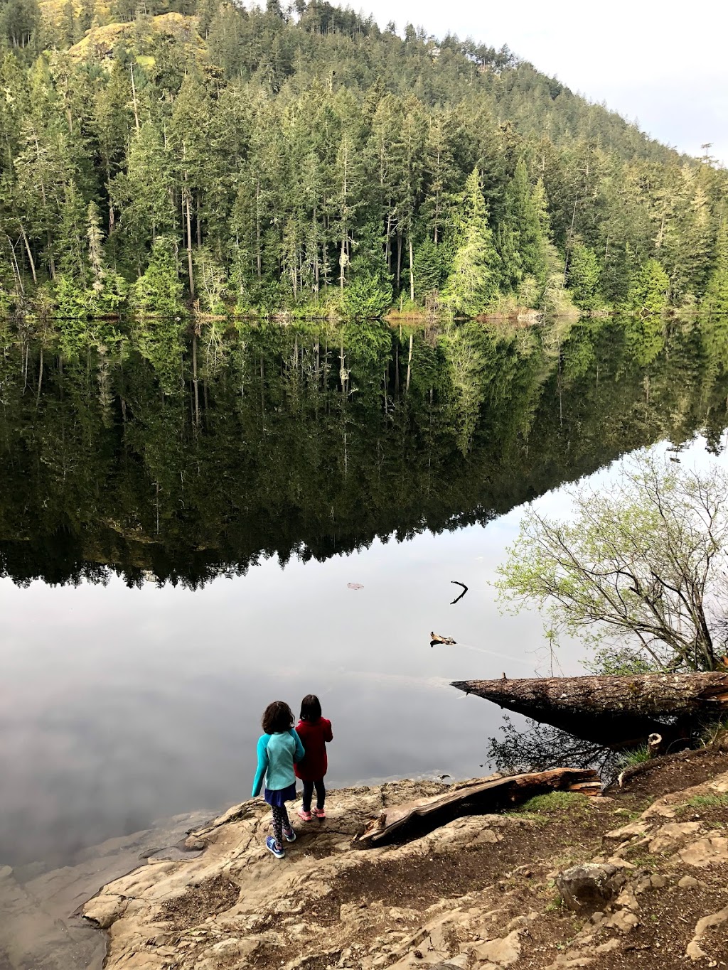 Matheson Lake Regional Park | Matheson Lake Park Rd, Victoria, BC V9C 4H9, Canada