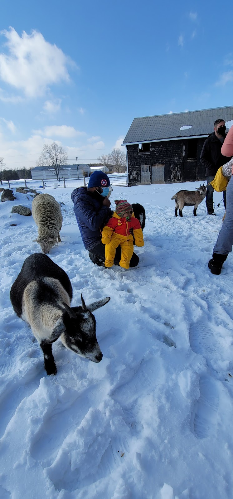 Kavanaugh Farms | 4533 Old Scugog Rd, Bowmanville, ON L1C 6T4, Canada | Phone: (289) 356-1029
