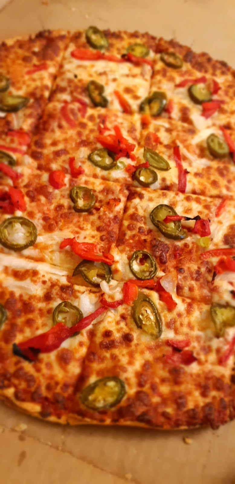 Dominos Pizza | 447 Pharmacy Ave, Scarborough, ON M1L 3G7, Canada | Phone: (416) 755-1144
