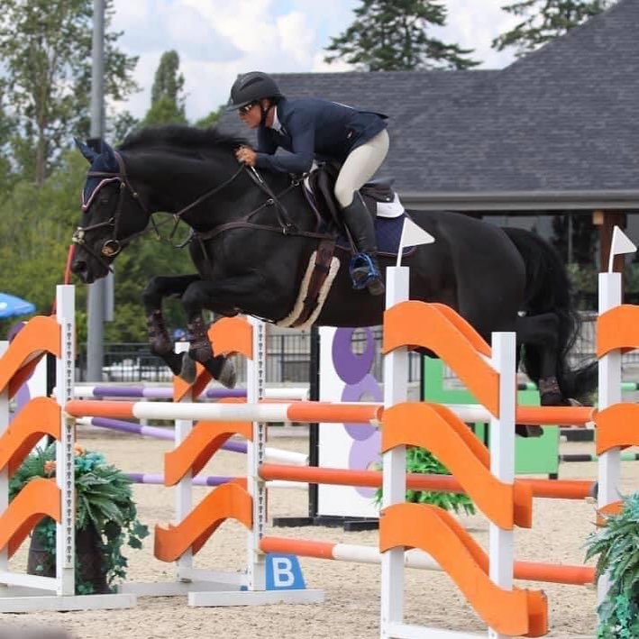 Pinecrest Stables | 7025 Macdonald St, Vancouver, BC V6N 1G2, Canada | Phone: (604) 220-2170