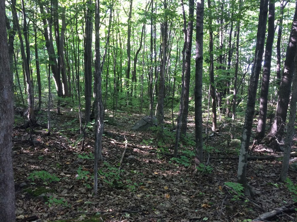 Rousseau Forest, Pincourt | Pincourt, QC J7V 4K2, Canada