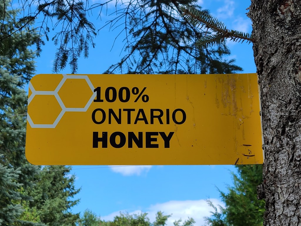 Arnolds Apiary - Fresh Natural Honey | 259 Omega Rd, Kirkfield, ON K0M 2B0, Canada | Phone: (905) 717-3462