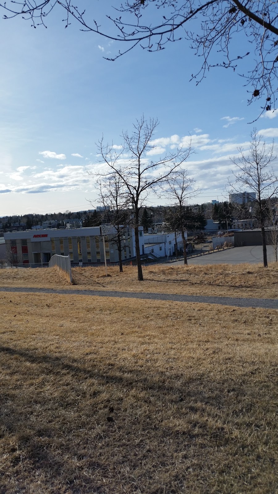 Fairview Off Leash Dog Area | 7532-7800 Flint Rd SE, Calgary, AB T2H 1G3, Canada | Phone: (403) 268-5861