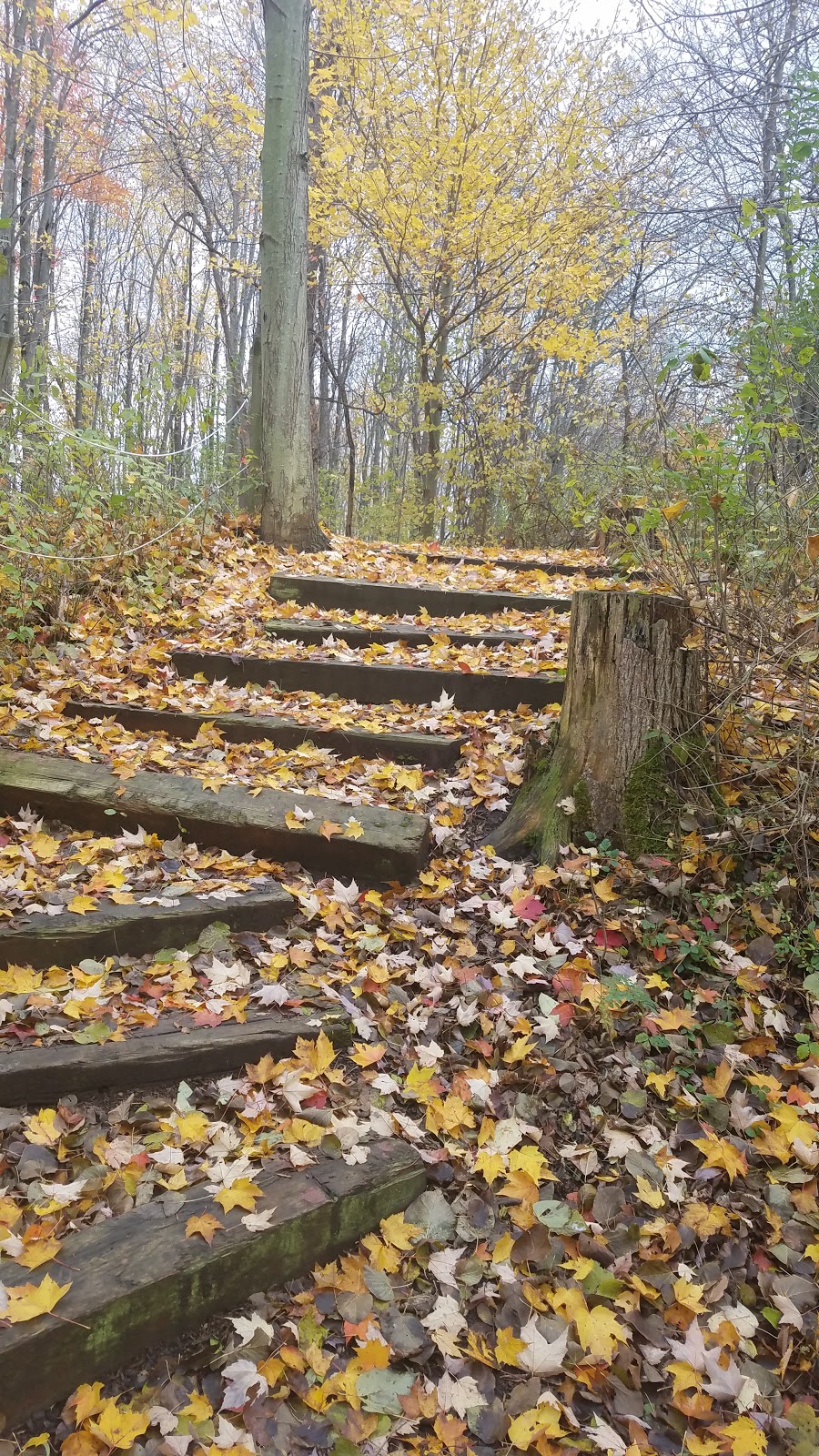 Ira Township Park | 7085 Meldrum Rd, Ira Township, MI 48023, USA | Phone: (586) 725-0263