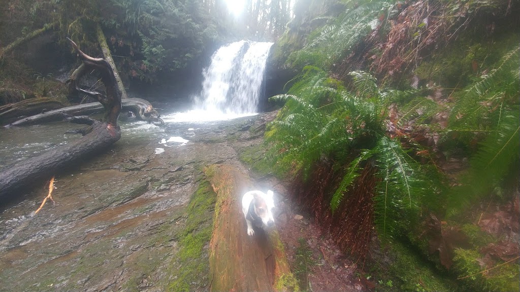 Stocking Creek Waterfall | Stocking Creek Trail, Ladysmith, BC V9G 2A4, Canada
