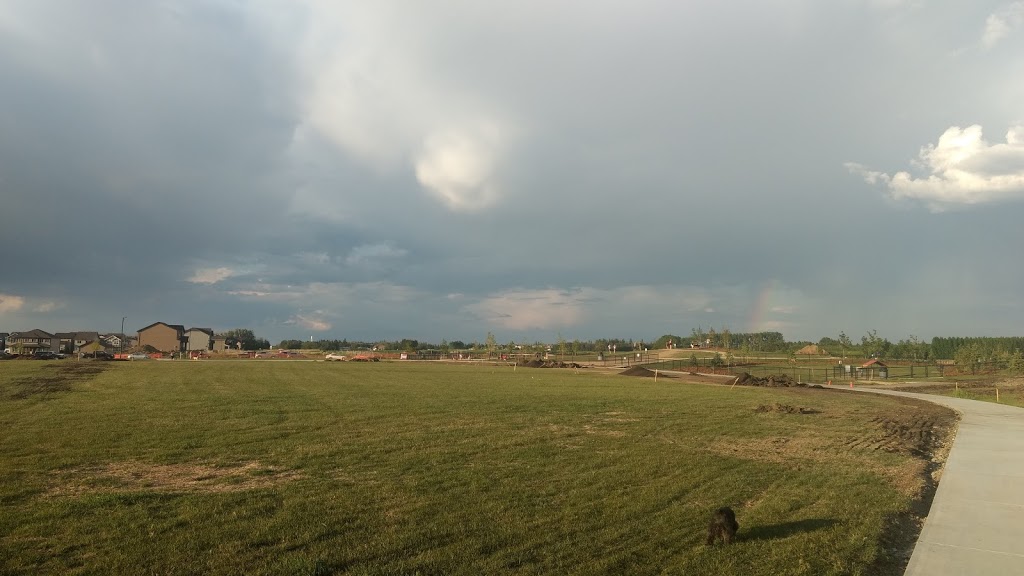 Paisley Dog Park | 3051 Paisley Green SW, Edmonton, AB T6W 1A3, Canada