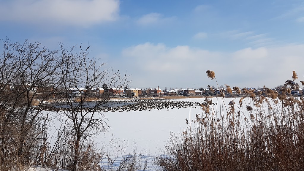 Professors Lake | 36 Pepperwood Pl, Brampton, ON L6S 3R9, Canada