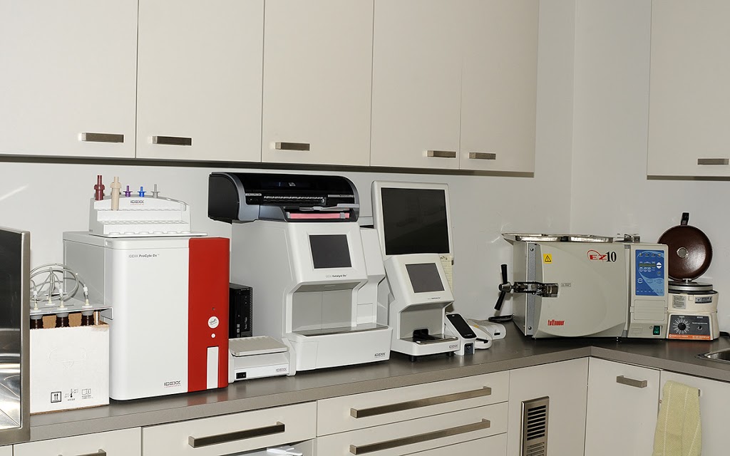Clinique Vétérinaire Bellefeuille | 1082 Boulevard Roland-Godard, Saint-Jérôme, QC J7Y 4C6, Canada | Phone: (450) 565-0751
