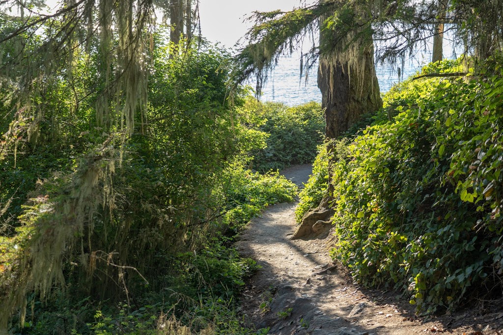 Pacific NW Trail | Pacific NW Trail, Oak Harbor, WA 98277, USA