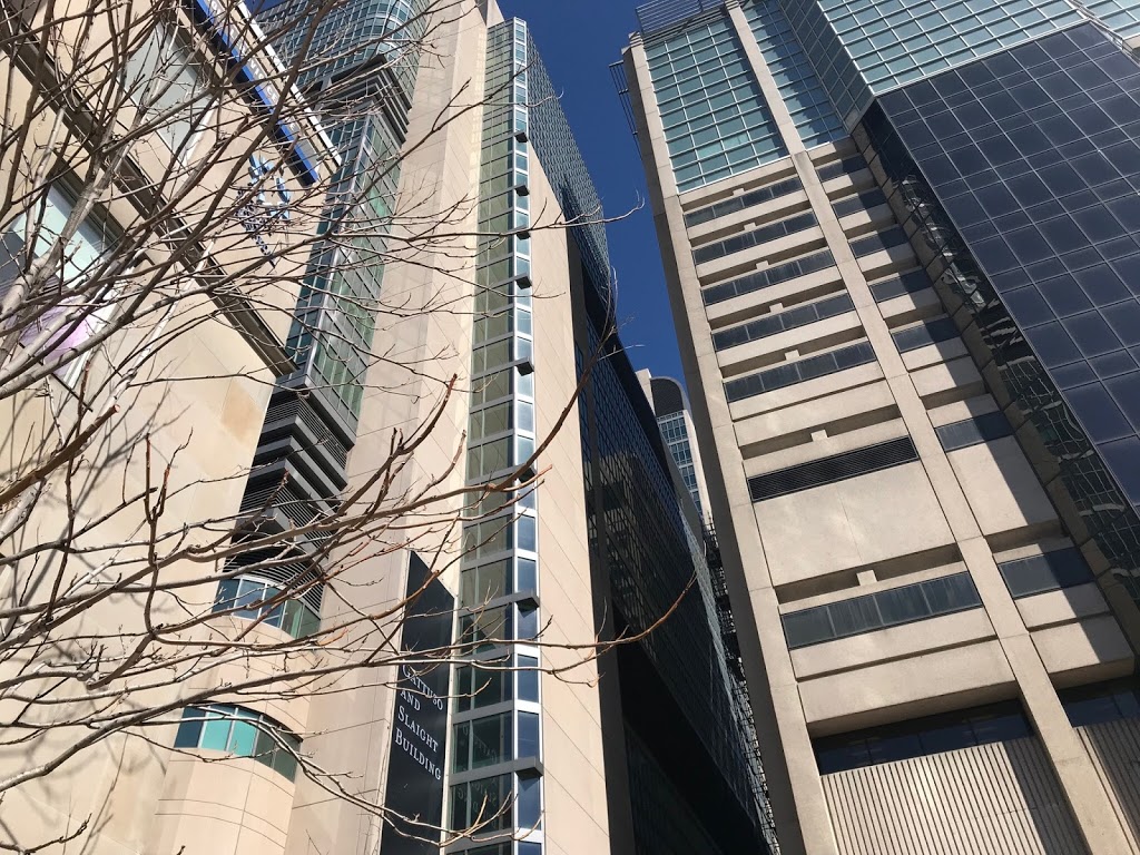Mount Sinai Hospital | 600 University Ave, Toronto, ON M5G 1X5, Canada | Phone: (416) 596-4200