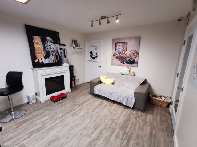 Animal Magic Pet Resort & Spa | 1004 Bellevue Rd, Parksville, BC V9P 2C2, Canada | Phone: (250) 248-8700