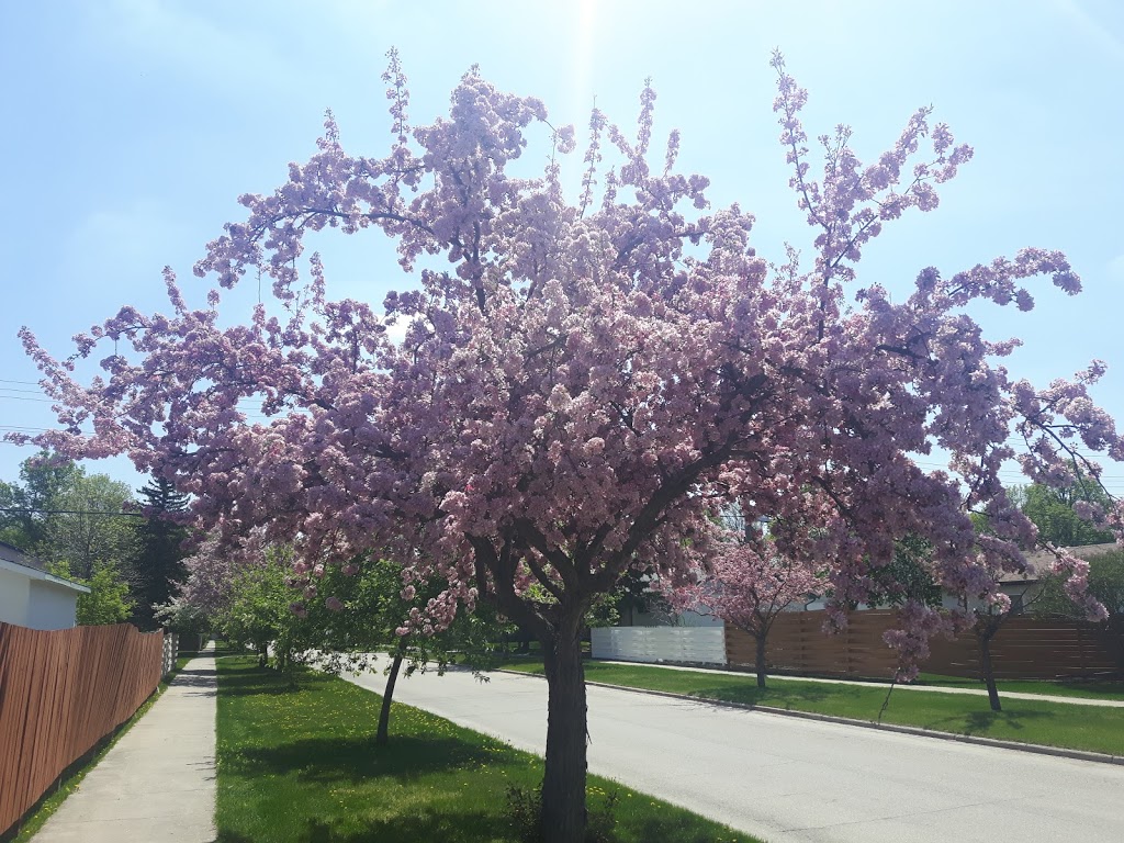 Beaumont Park | Beaumont, Winnipeg, MB R3T, Canada
