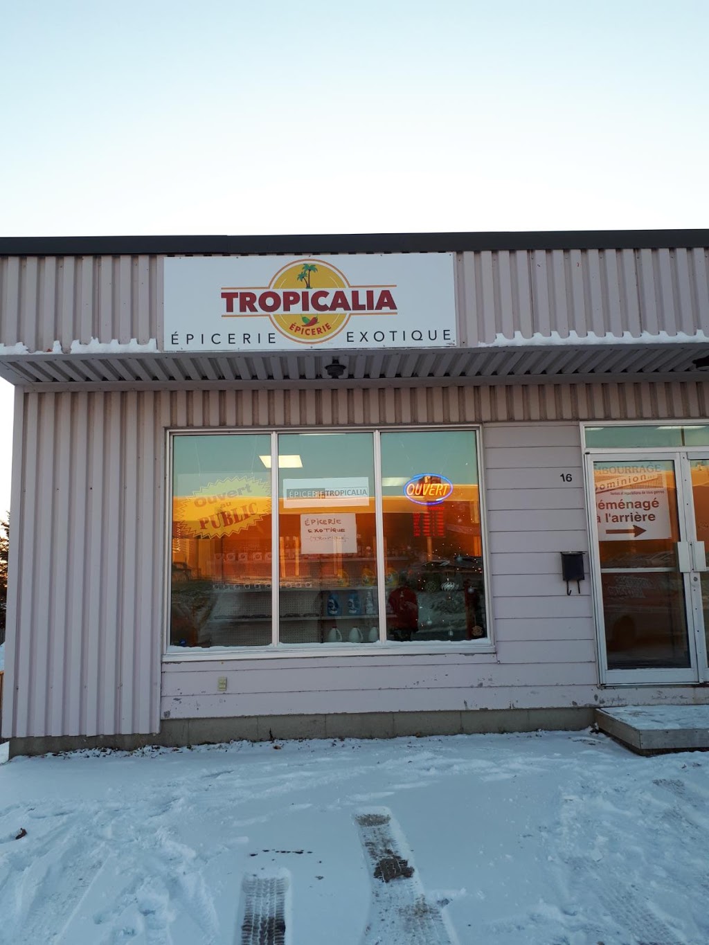 Épicerie Tropicalia | 16 Rue Charles-Rodrigue, Lévis, QC G6V 6L8, Canada | Phone: (418) 838-0001