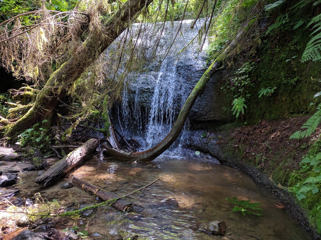 Lookout Mountain Preserve | Bellingham, WA 98229, USA