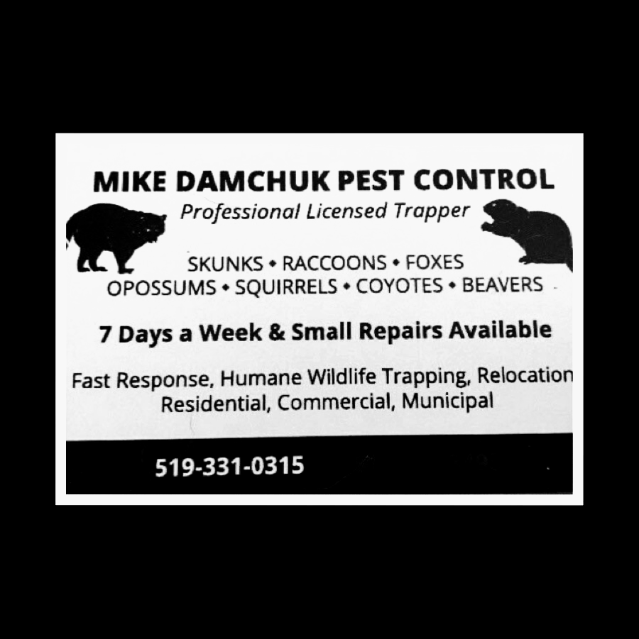 Mike Damchuk Pest Control | Kimball Rd, Corunna, ON N0N 1G0, Canada | Phone: (519) 331-0315