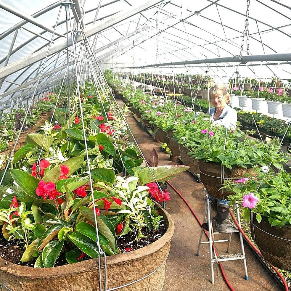 The Garden Network | 57 Maybee Rd, Frankford, ON K0K 2C0, Canada | Phone: (343) 263-5657