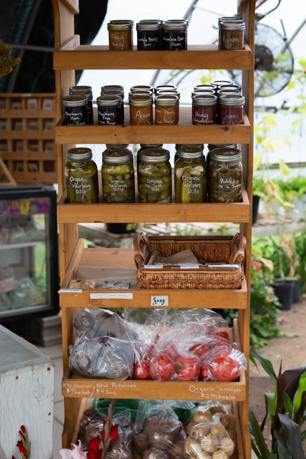 Seeds of Creation | 8744 ON-60, Eganville, ON K0J 1T0, Canada | Phone: (613) 628-5313