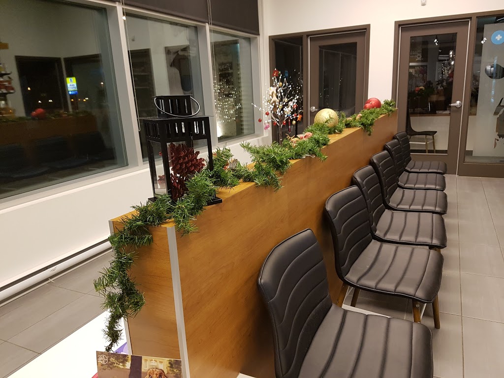 Clinique Vétérinaire Donnacona | 439 QC-138, Donnacona, QC G3M 0A9, Canada | Phone: (418) 285-0473