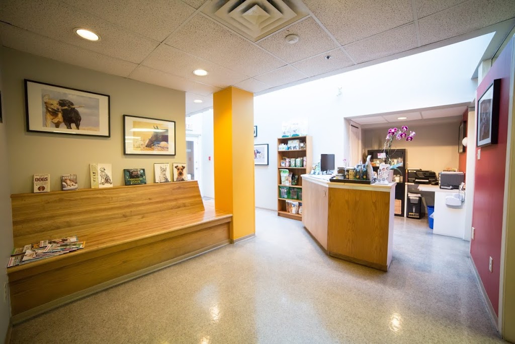 Point Grey Veterinary Hospital | 4362 W 10th Ave, Vancouver, BC V6R 2H7, Canada | Phone: (604) 228-9633