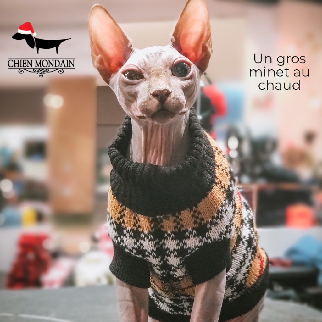 Chien Mondain - Mode Canine | 2600 Boulevard Laurier, Place de la Cité, Québec, QC G1V 4T3, Canada | Phone: (418) 527-2226