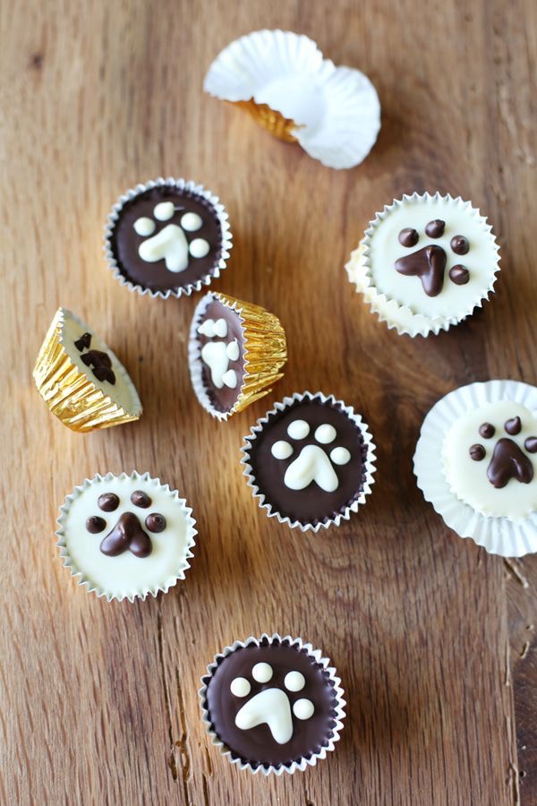 Spoiled Pups Bakehouse&Boarding | 732 5th Ave unit 309, New Westminster, BC V3M 1X7, Canada | Phone: (778) 888-5398