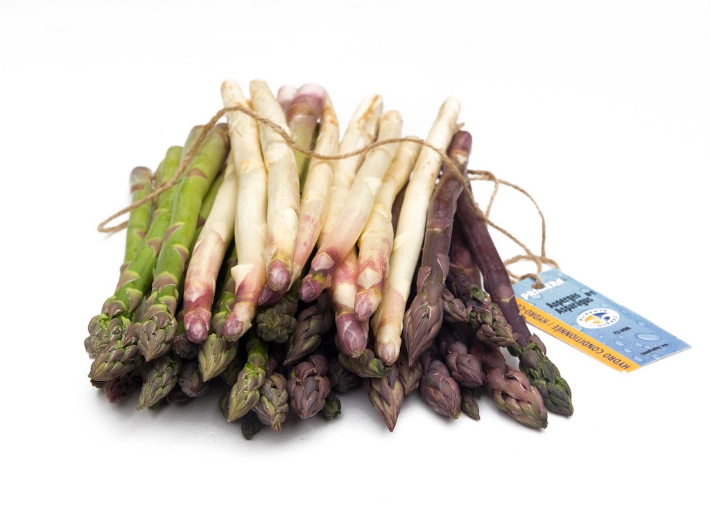 Asperges Primera | 1550 Rang St Albert, Saint-Thomas, QC J0K 3L0, Canada | Phone: (450) 803-6261