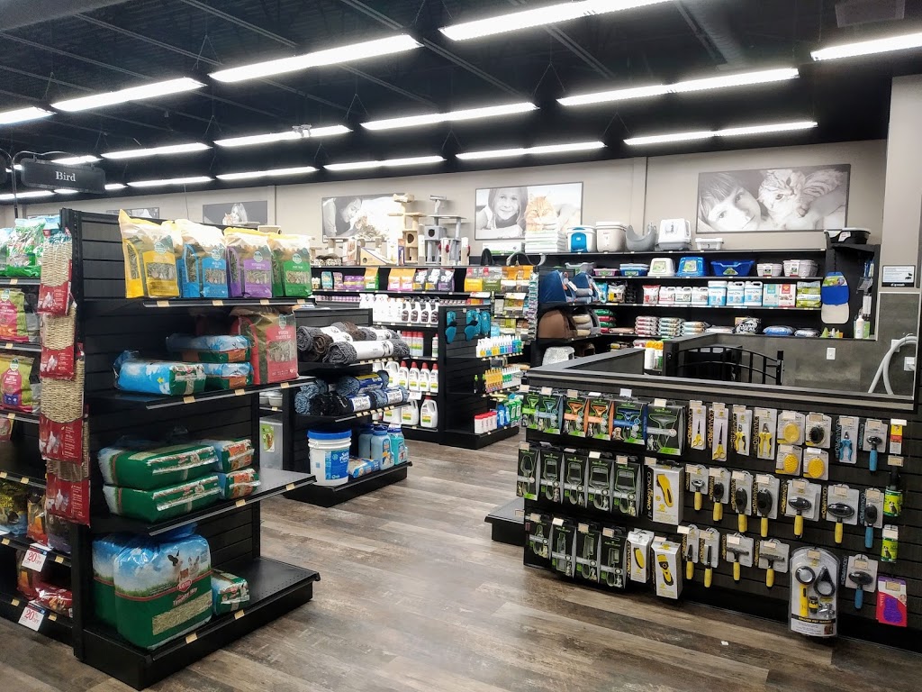Pet Valu | 1641 Topsail Rd, Paradise, NL A1L 1Z1, Canada | Phone: (709) 781-5738