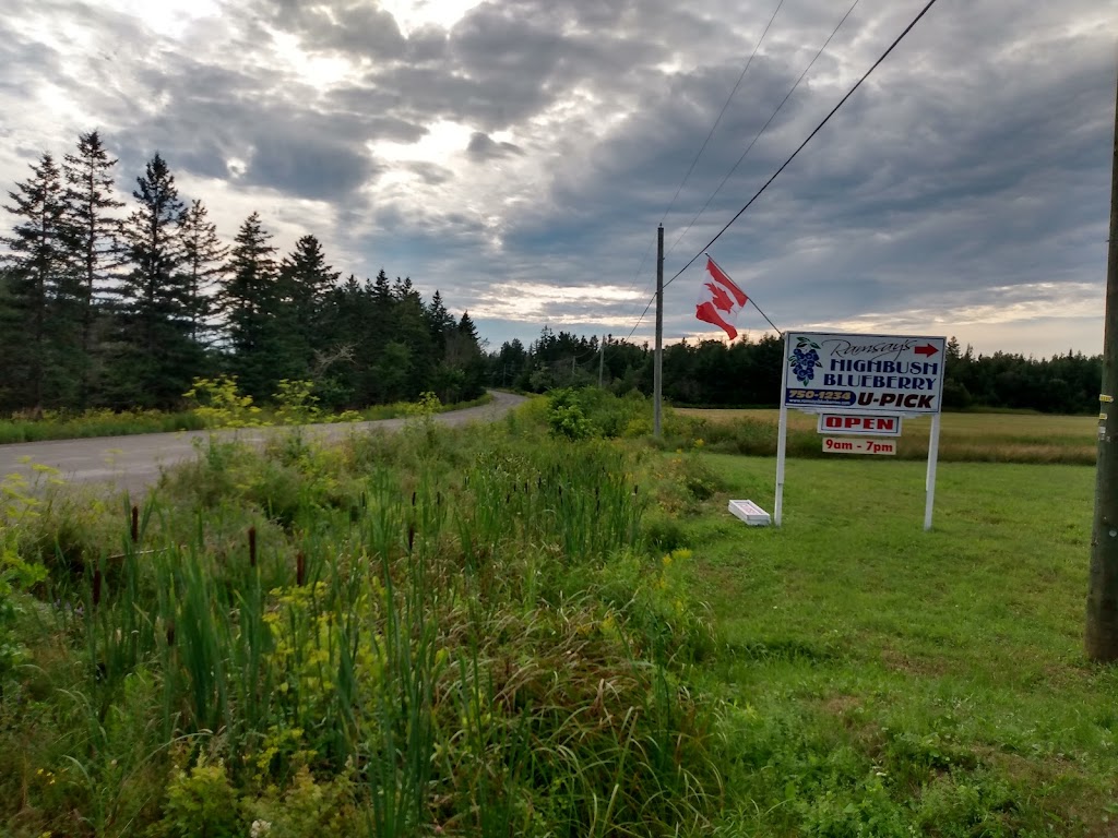 Ramsays Blueberries | 1081 NB-885, Petitcodiac, NB E4Z 4T7, Canada | Phone: (506) 750-1234